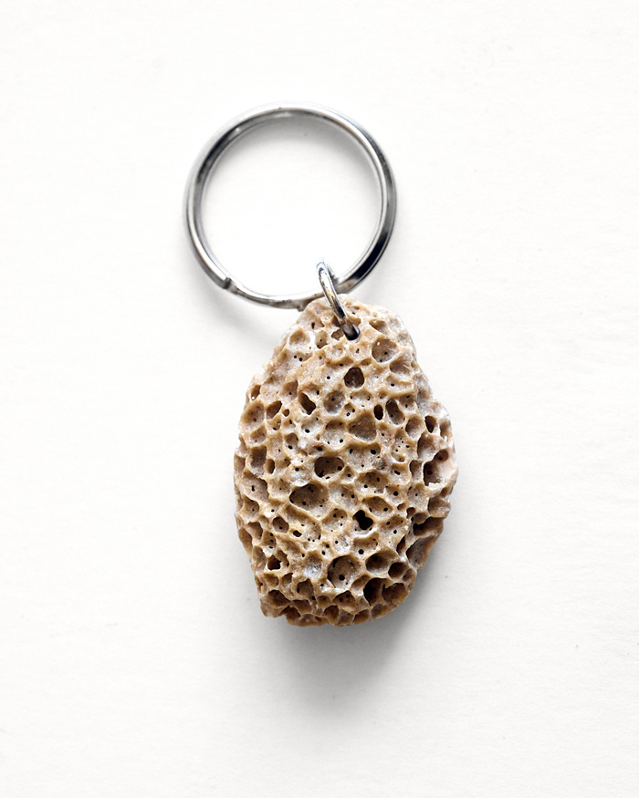 llavero de fósil de Coral